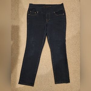 Jag Jeans Women's Dark Blue High Rise Skinny Jeans Sz16